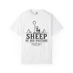 Sheep Of His Pasture