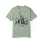 Sheep Of His Pasture