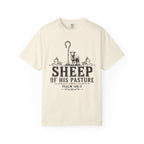 Sheep Of His Pasture