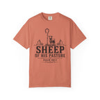 Sheep Of His Pasture