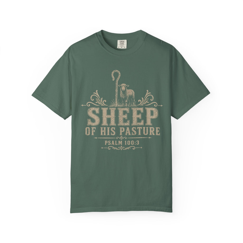 Sheep Of His Pasture