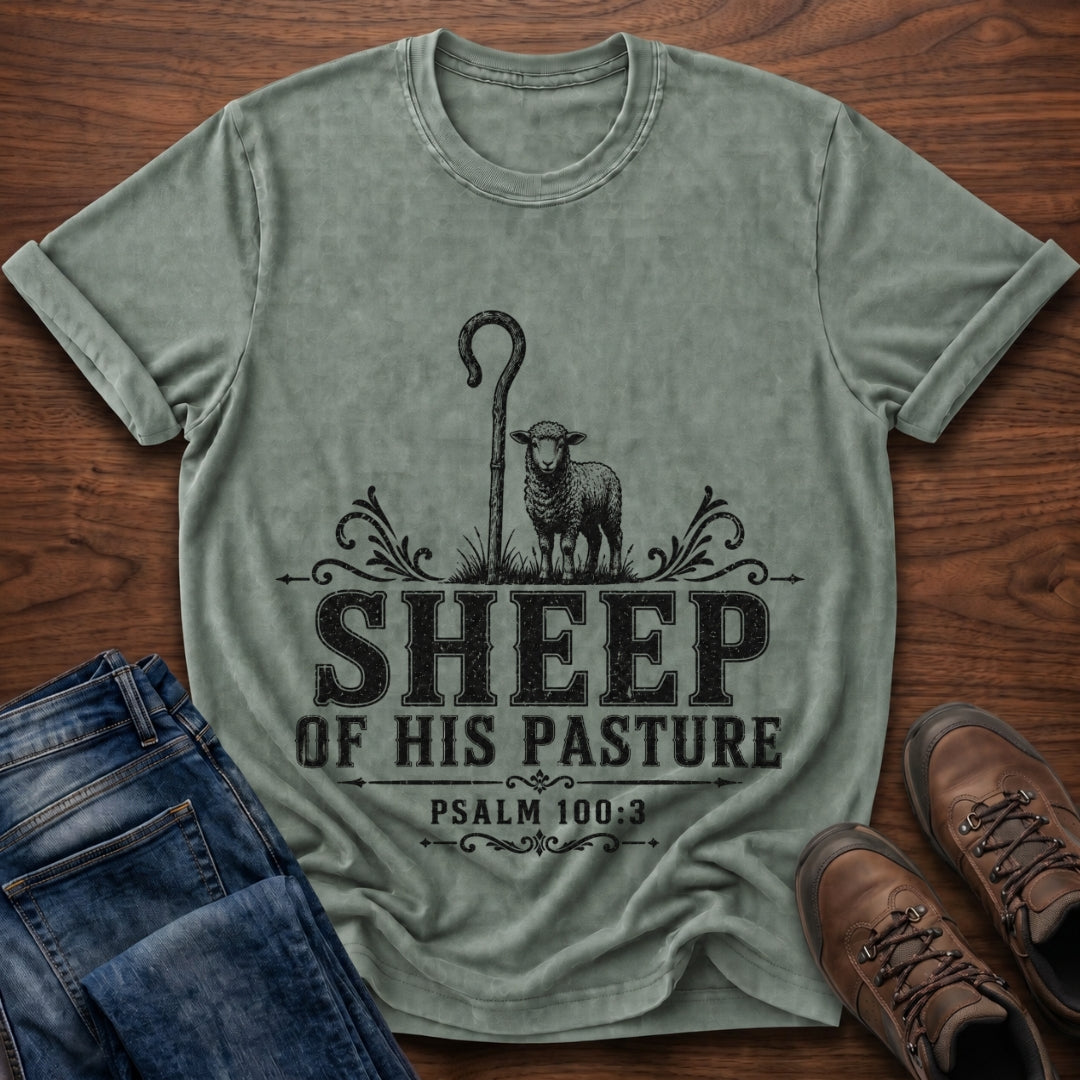 Sheep Of His Pasture