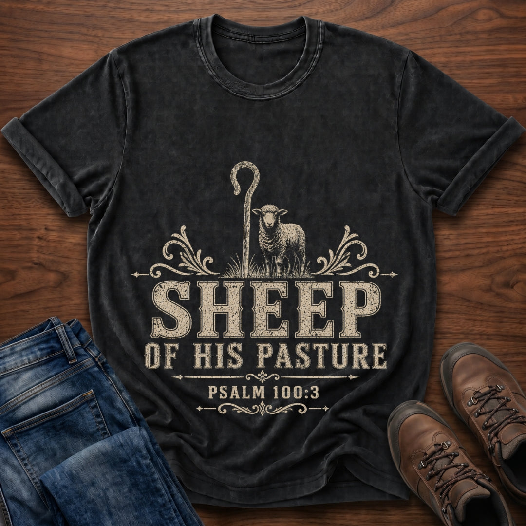 Sheep Of His Pasture