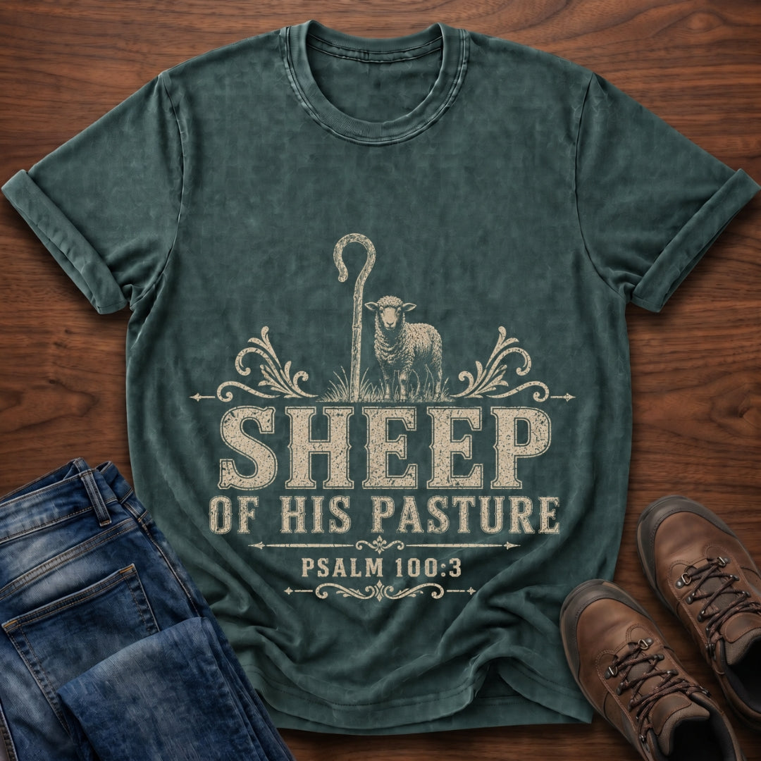 Sheep Of His Pasture