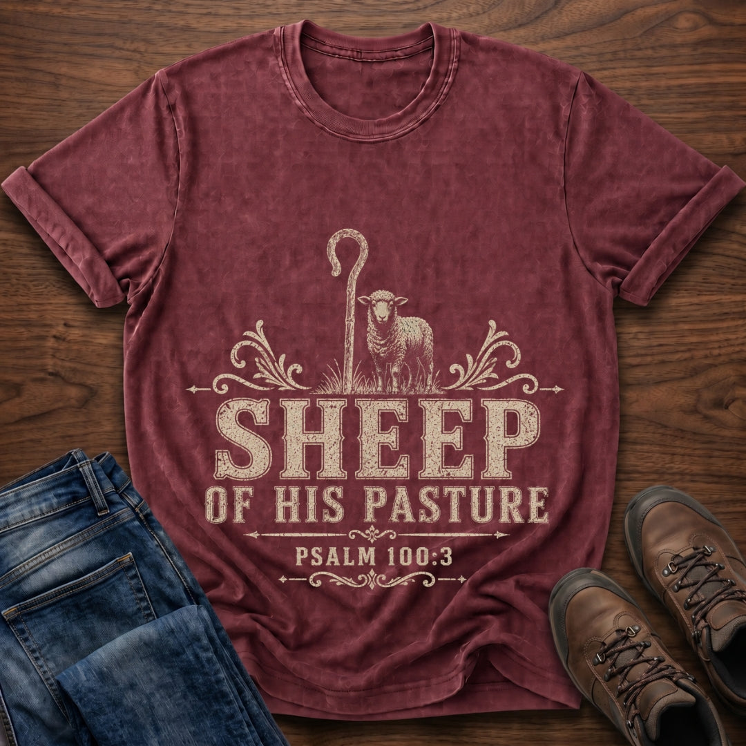 Sheep Of His Pasture