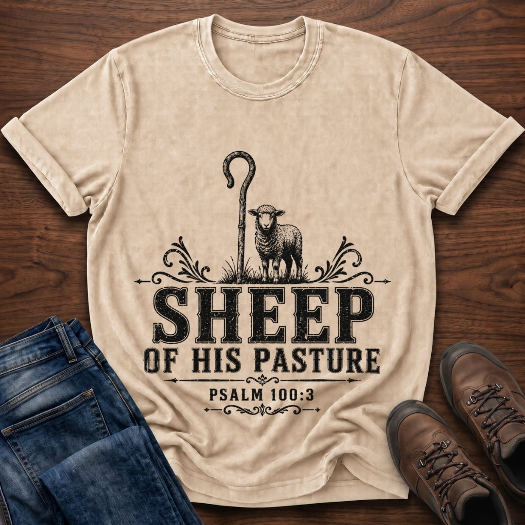 Sheep Of His Pasture