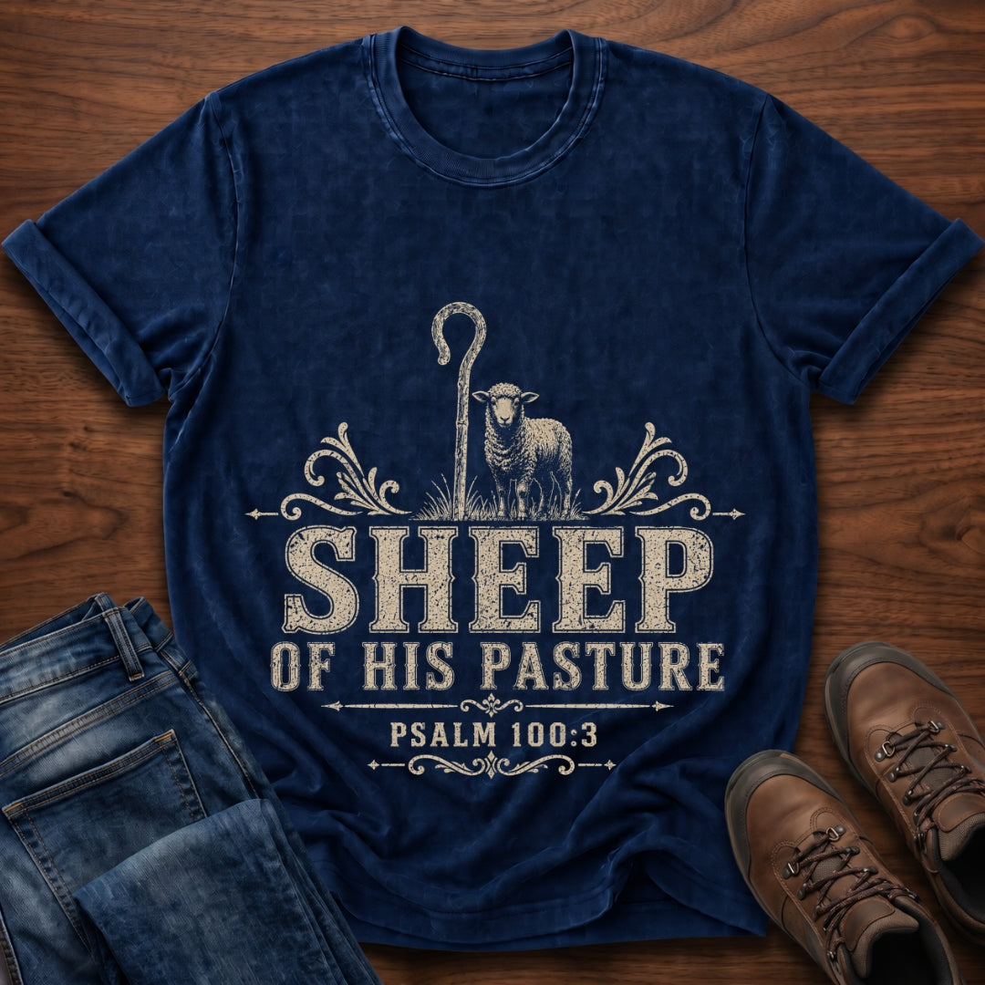 Sheep Of His Pasture